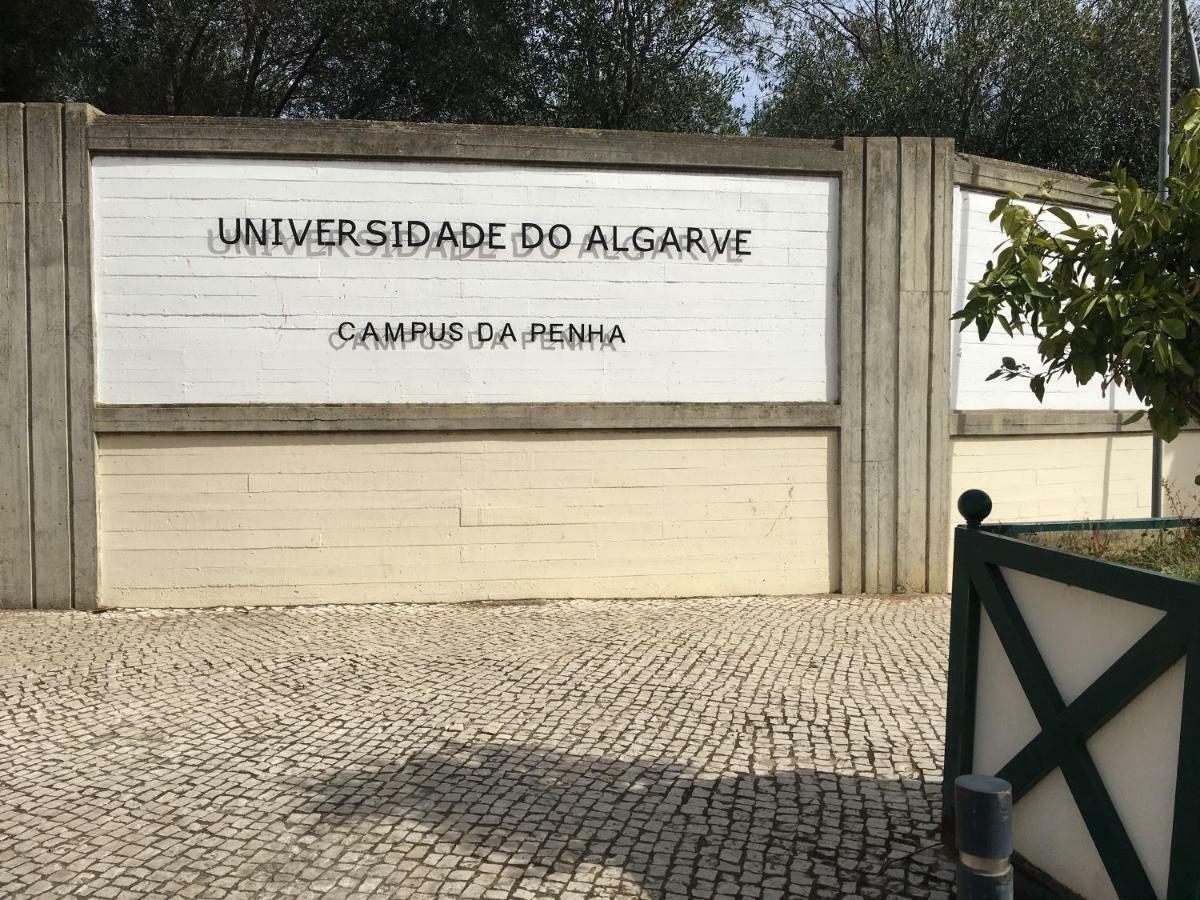 Apartament Casa Do Marinheiro Dystrykt Dystrykt Faro Zewnętrze zdjęcie
